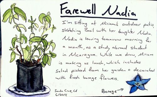 2011-06-30_15-08-11_737