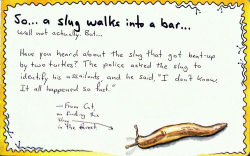 2011-07-15_20-26-25_483