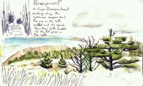 2011-07-16_16-11-40_808