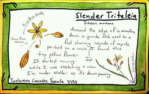 2011-07-29_15-56-41_476