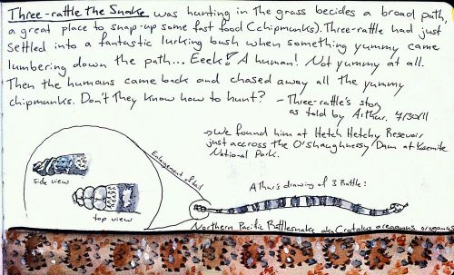 2011-07-31_12-52-21_615