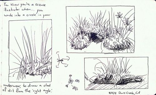 2011-08-16_14-06-50_958