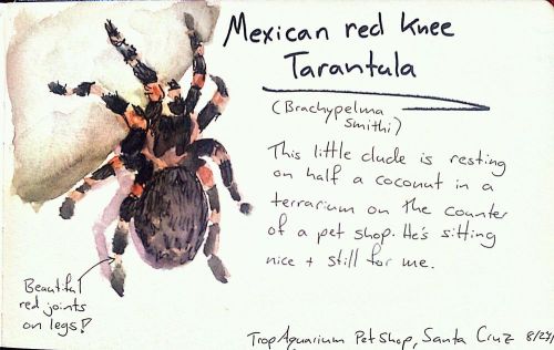 2011-08-27_14-57-10_108