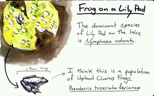 2011-09-28_16-03-43_962