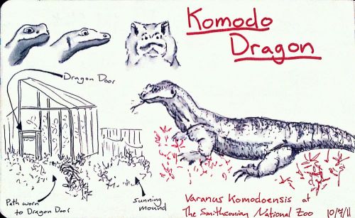 2011-10-07_18-28-18_794