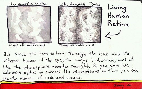 2011-11-03_17-11-55_245