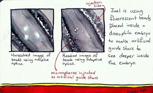 2011-11-04_17-47-42_486