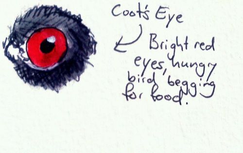 2011-11-08_15-39-49_643