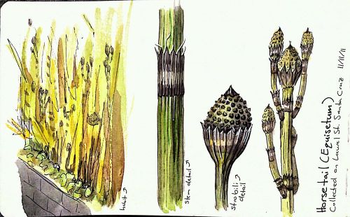 2011-11-11_15-29-35_345