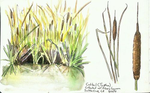 2011-11-12_20-55-50_071