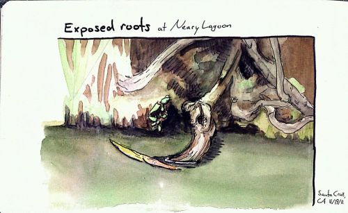 2011-11-19_16-35-57_684