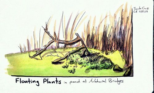 2011-11-21_16-43-04_641