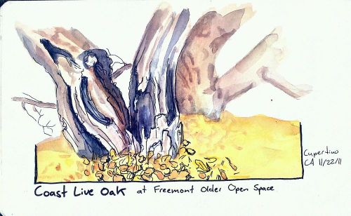 2011-11-22_15-34-06_494