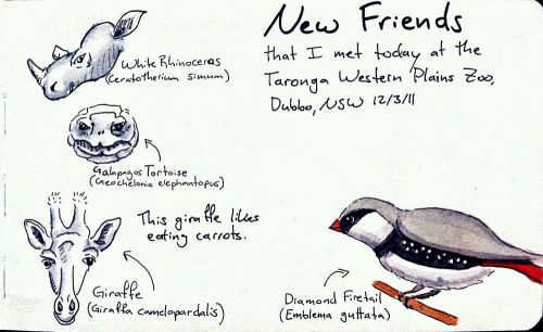 2011-12-03_17-54-28_670