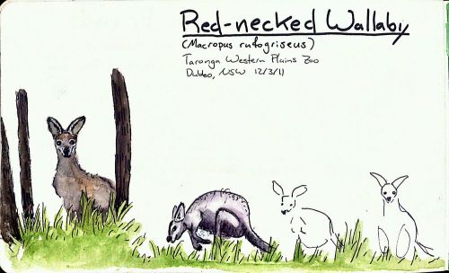 2011-12-12_10-32-07_004