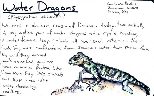 2011-12-30_16-18-15_206