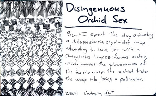 2011-12-30_16-19-12_896