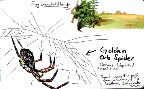 2011-12-31_12-03-20_998