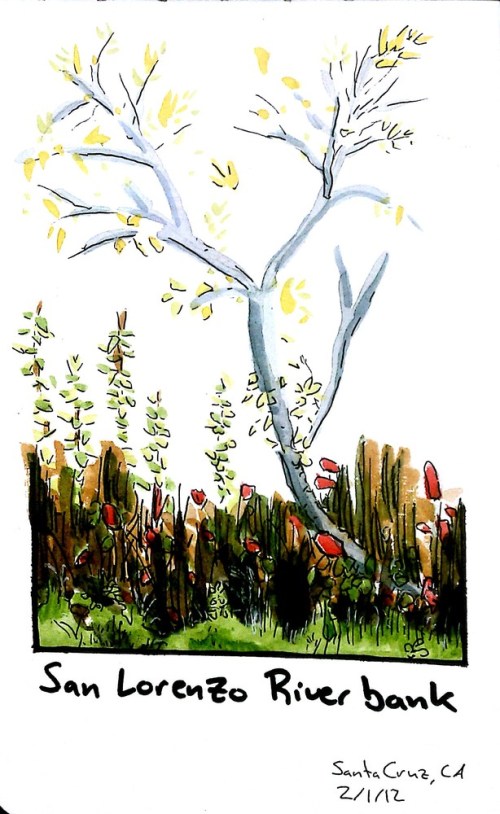 2012-02-01_17-34-07_426