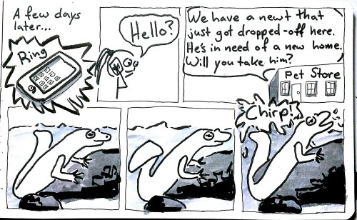 2012-03-15_20-01-22_254