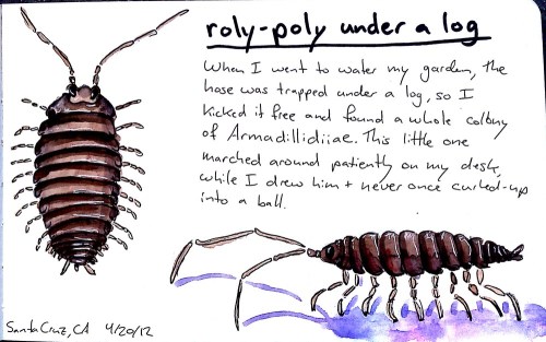 2012-04-23_18-00-18_986