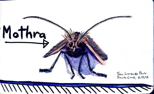 2012-06-11_17-34-43_494