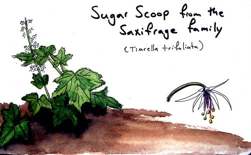 2012-06-27_19-08-59_003