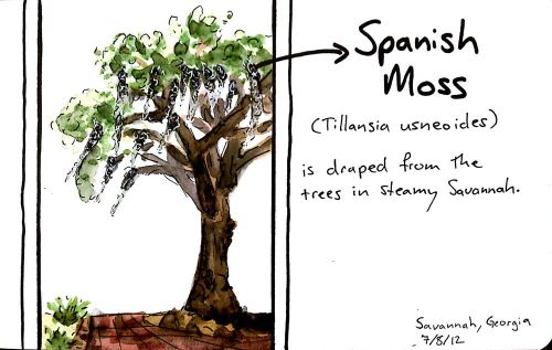 2012-07-11_16-17-21_174