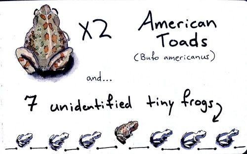 2012-07-20_16-44-20_530