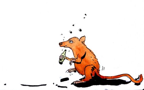 2012-07-30_21-54-52_457