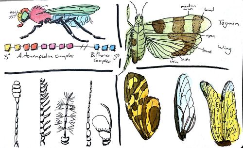 2012-08-19_21-39-35_904