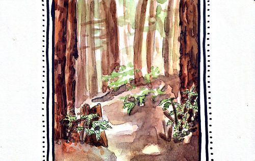 2012-10-02_14-39-19_167