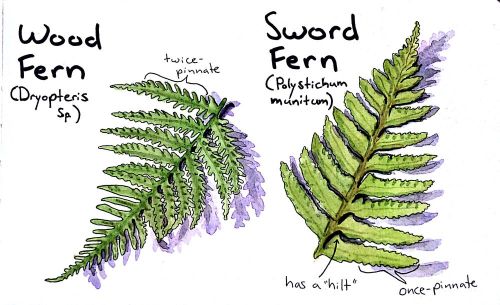 2012-10-10_17-27-44_437