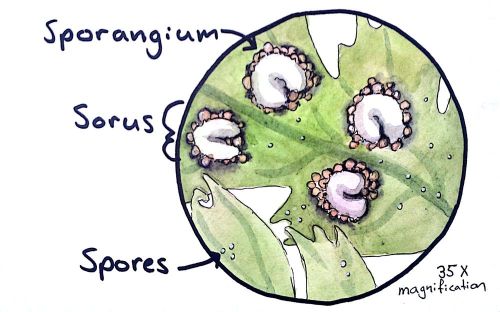 2012-10-10_18-40-33_630