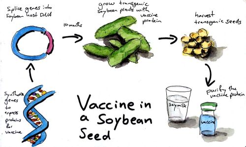 2012-10-29_12-10-42_450