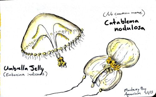 2013-01-08_11-21-24_809