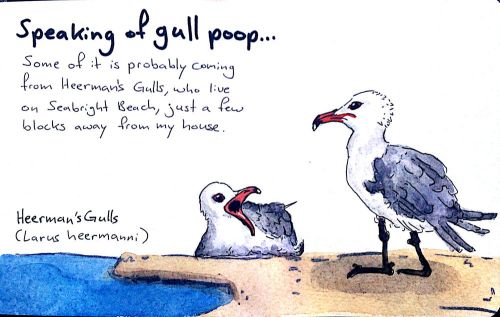 2013-03-05_16-44-59_118