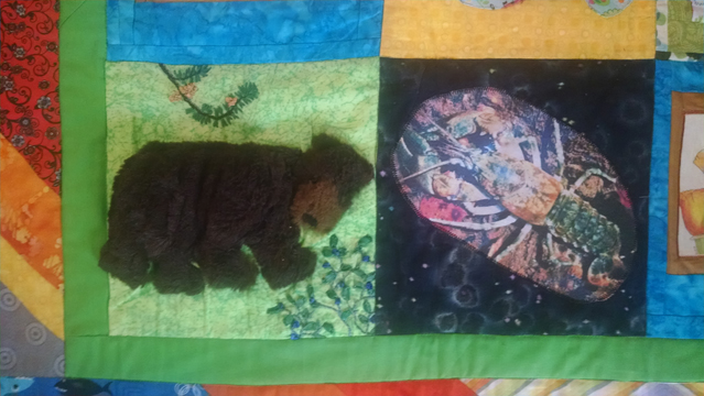 IMG_20150217_122425922