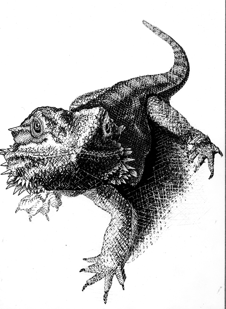 Dramkon Scratchboard