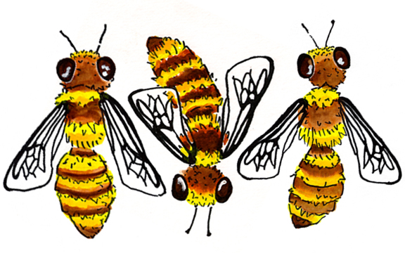 three bees