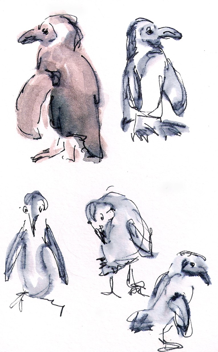 pengiuns