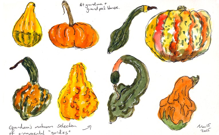 autumn gourds.jpg