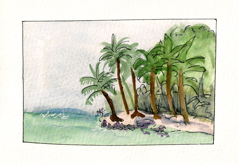 beach Puerto Rico.jpg