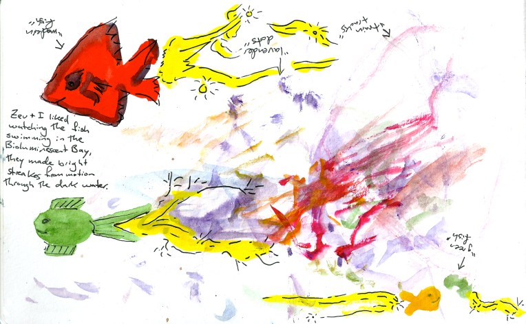 bioluminescent bay.jpg