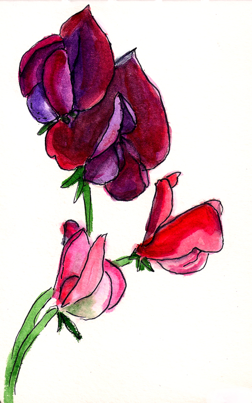 sweetpeas.jpg