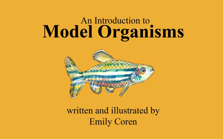 Page 1 - Model Organism Boook copy.jpg